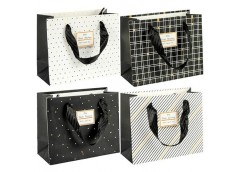 Пакет подарунковий паперовий 16*7*13см. горизонтальний HL-101/DF-348XS (72)