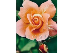 Ф/ альбом UFO 10*15см. 200 фото 