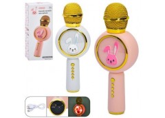 Мікрофон в кор. акум. USB. світло 10*24*6см. 2кол. X6 (30)