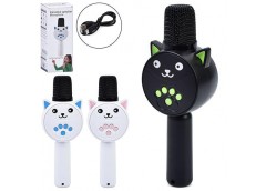 Мікрофон в кор. акум. USB. Bluetooth. FM. MP3. TFслот 27*11*8см. 3кол. MC811 (35...