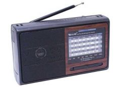 Радіо Golon RX-3050 (40)