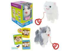 Котик в кор. на бат. 