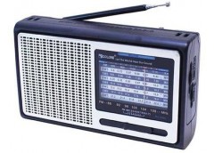 Радіо Golon RX-3060 (40)