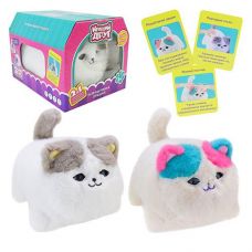 Котик в кор. на бат. 