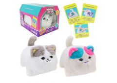 Котик в кор. на бат. 