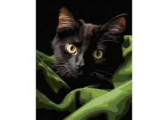 Картина по номерах 30*40см. 