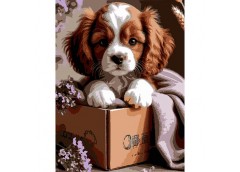 Картина по номерах 30*40см. 