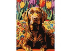 Картина по номерах 30*40см. 