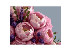 Картина по номерах 30*40см. 