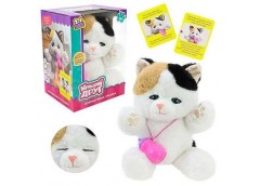 Кошеня в кор. на бат. інтерактивне 