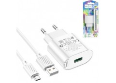 Зарядне Hoco (2шт. USB/Micro) 20W C109A (1)