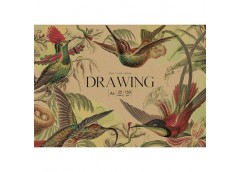 Папір д/малювання в папці А4+ 25ар150 грм MUSE PD-A4-069 &&&Школярик