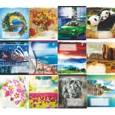 Зошит Бріск Пір'ячко 96 арк. газетний папір 55 г/м2ТВ-6 Клітинка (10/120)