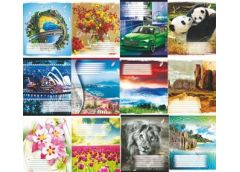 Зошит Бріск Пір'ячко 96 арк. газетний папір 55 г/м2ТВ-6 Клітинка (10/120)