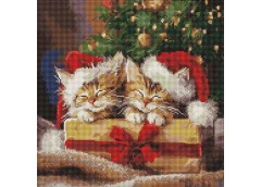 Алмазна мозаїка 40*40см. 