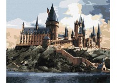 Картина по номерах 40*50см. WB 