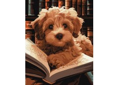 Картина по номерах 40*50см. 