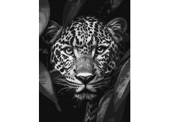 Картина по номерах 30*40см. 