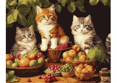 Картина по номерах 40*50см 