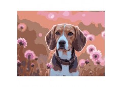 Картина по номерах 30*40см. 