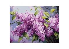 Картина по номерах 30*40см. 