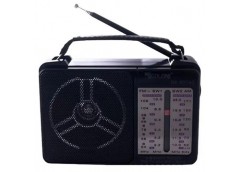 Радіо Golon RX-607 (40)