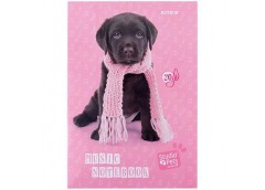 Нотник Kite А4 20 арк. Studio Pets SP24-404 (1)