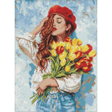 Алмазна мозаїка 30*40см. "В ритмі краси" AMO20392 Ideyka (1)