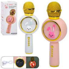 Мікрофон в кор. акум. USB. світло 10*24*6см. 2кол. X6 (30)