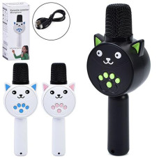 Мікрофон в кор. акум. USB. Bluetooth. FM. MP3. TFслот 27*11*8см. 3кол. MC811 (35)