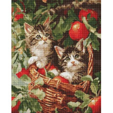 Алмазна мозаїка 40*50см. "Коти у кошику" AMO20277 Ideyka (1)