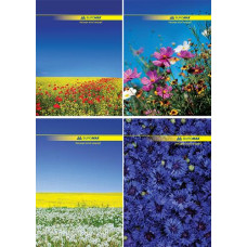 Канц. книга Buromax клітинка A4 96арк офс. тв лам обк,  2400 BM (8) (тв)