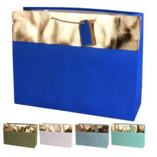 Пакет подарунковий паперовий "Style" 23*17.7*10см. R34584-S (720)