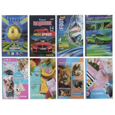 Щоденник твердий "Класний" 1-4 класи блок офсет POLLY шщ-4 (1/16)
