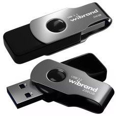 Флешка Wibrand "Lizard" 256Gb USB 3.2 Gen1 WI3.2/LI256P9 (1)