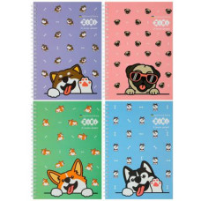 Блокнот дитяч A5 64арк кліт карт.обкл спіраль CUTE pattern  ZIBI  ZB 12153
