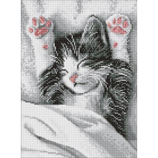 Алмазна мозаїка 30*40см. "Муркотливий ранок" AMO20204 Ideyka (1)