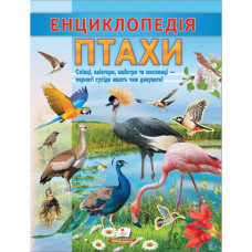 Кн Енциклопедія. Птахи 32стр. ЦЕ_укр Пегас (20)